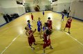 Basket 443103